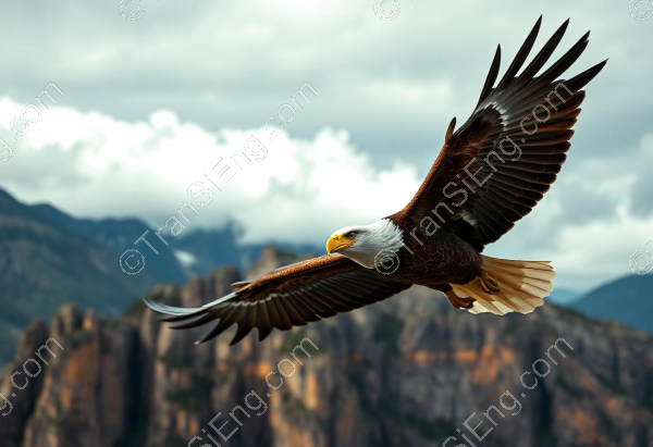 eagle