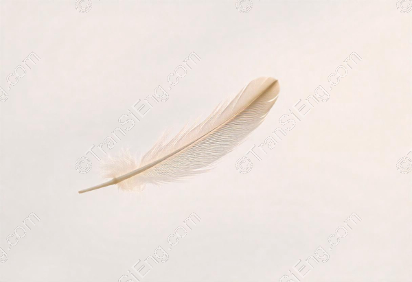 feather